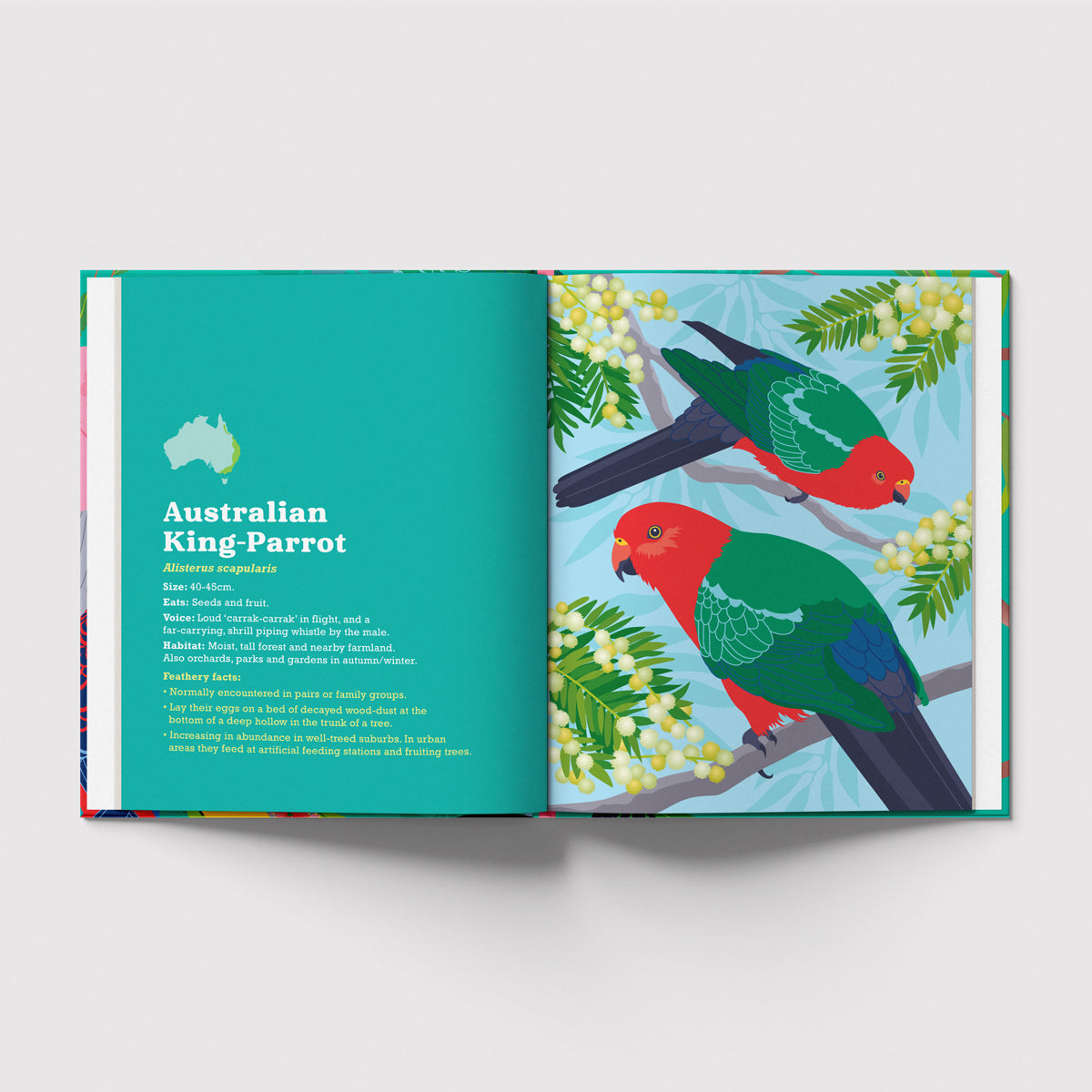 Birds in my Australian Back Yard hardcover picture book by Sarah Epstein