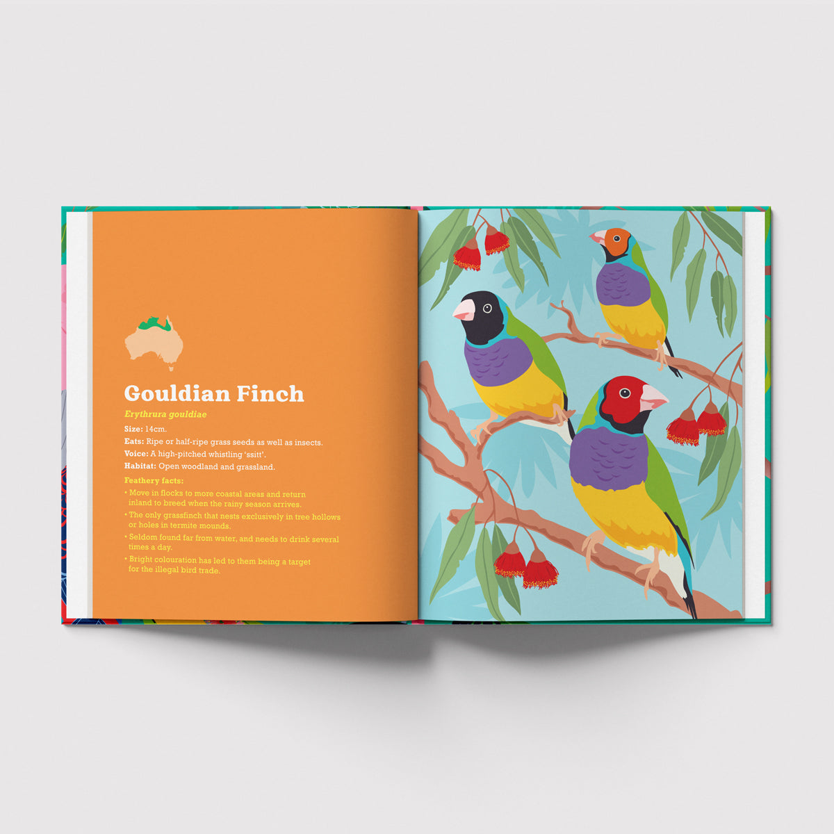 Birds in my Australian Back Yard hardcover picture book by Sarah Epstein