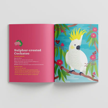 Birds in my Australian Back Yard paperback picture book by Sarah Epstein